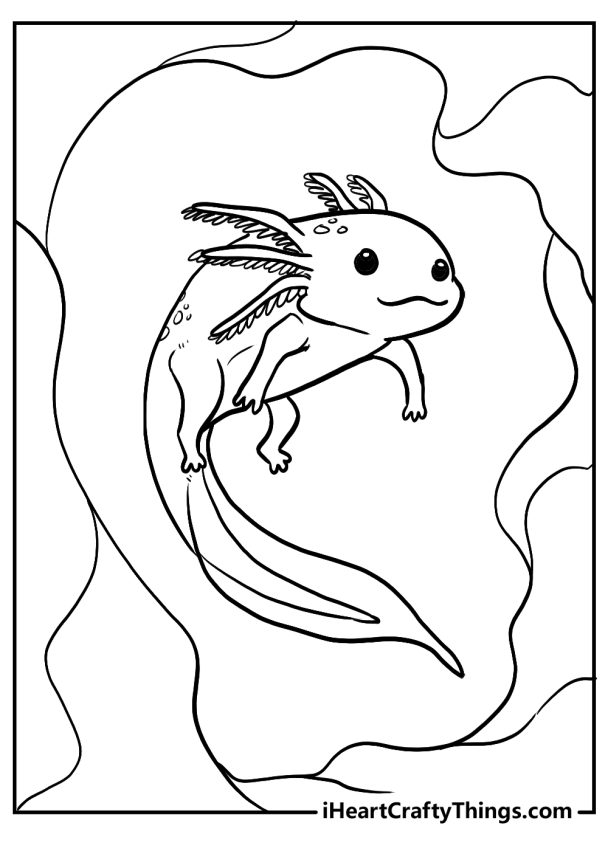 Printable Axolotl Coloring Pages (Updated 2024)