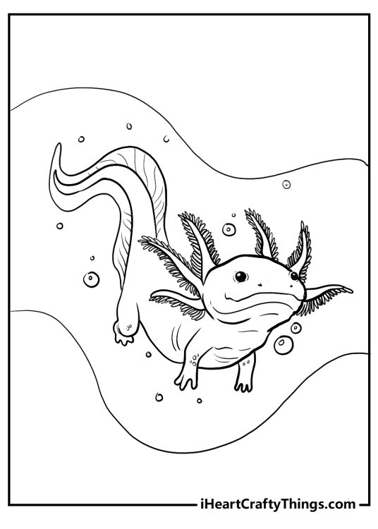 Free to download coloring page of a dragon-looking axolotl swimming surrounded by water bubbles