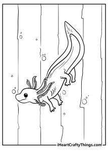 Printable Axolotl Coloring Pages (Updated 2024)