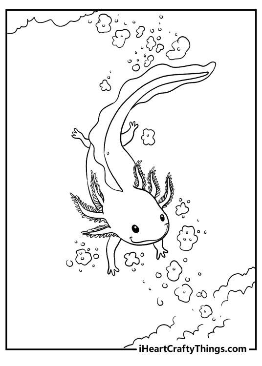 Printable coloring page of a surrounded by bubbles axolotl who has just dived beneath the water