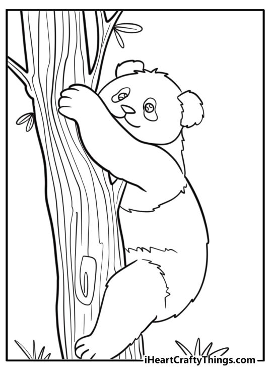 Giant panda climbing a tree fun printable coloring sheet