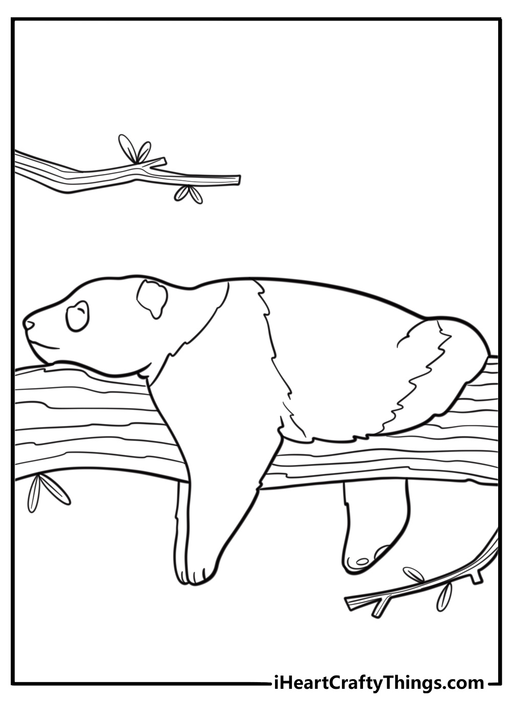 Giant panda sleeping on a tree branch easy coloring page