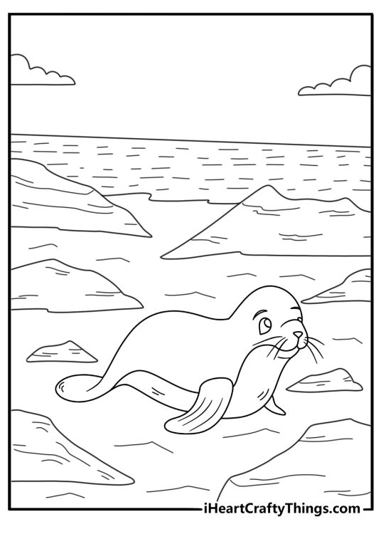 Hawaiian monk seal on black lava rocks simple coloring page PDF