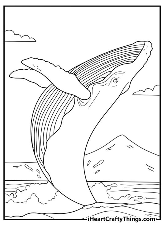 Humpback whale breach near island simple Hawaii coloring printable