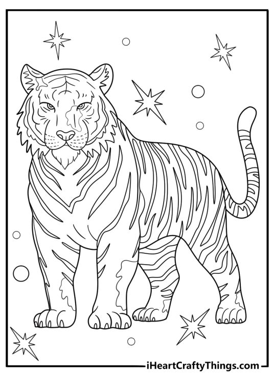 detailed rainbow tiger coloring page for adults with bold patterns and galaxy backdrop
