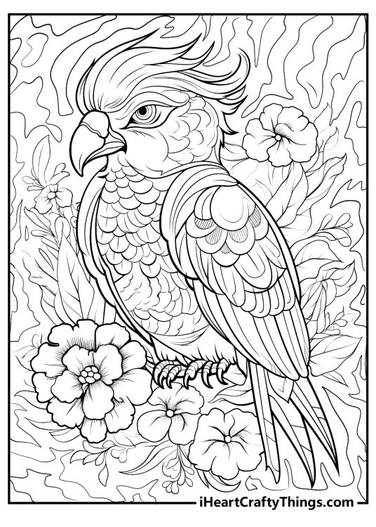 Detailed Lisa Frank coloring sheet featuring gorgeous parrot with floral designs in the background