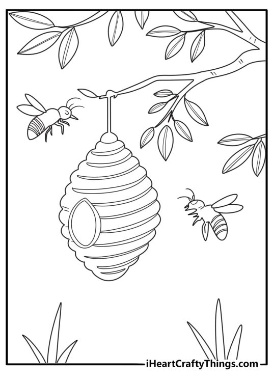 Beehive hanging from a tree branch with two bees detailed spring coloring sheet