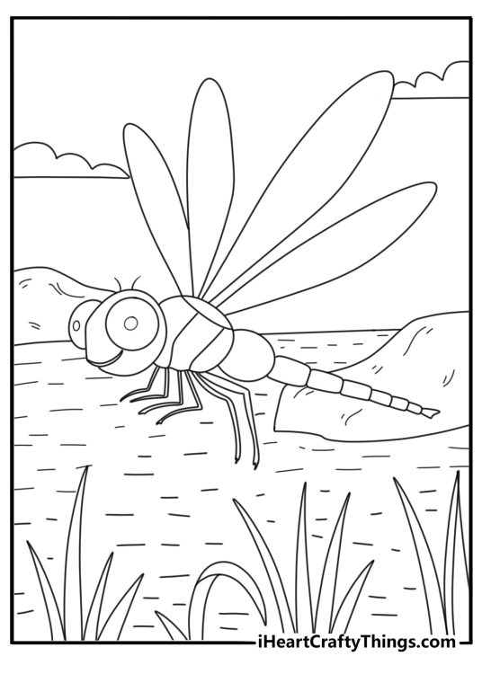 Dragonfly hovering near tall reeds by the water spring coloring page for adults