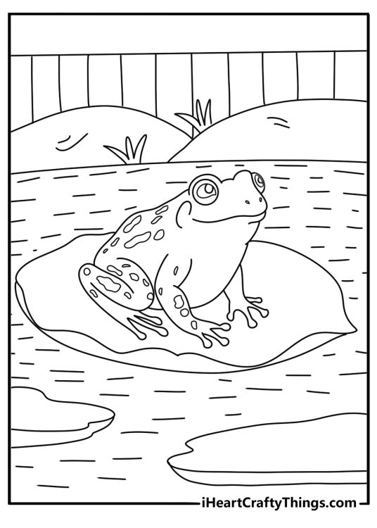 Frog sitting on a lily pad in a garden pond detailed spring coloring page