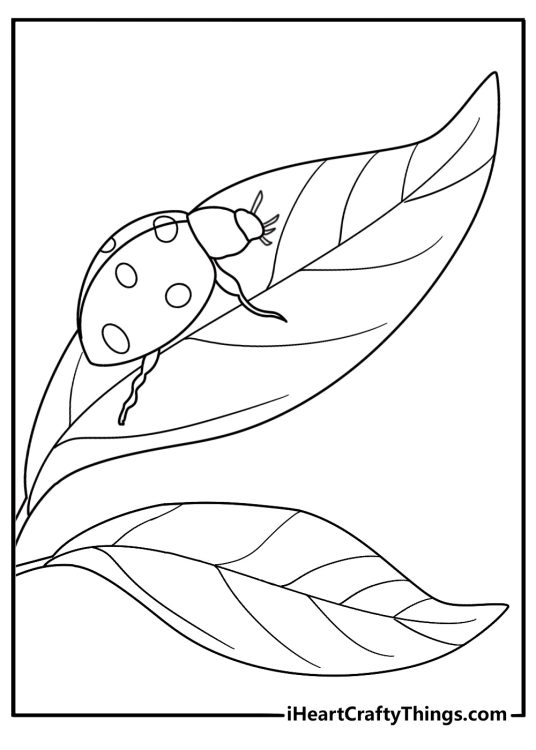 Ladybug resting on a fresh leaf easy spring coloring page