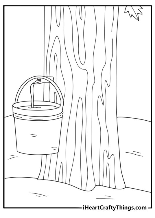 Maple tree with a sap bucket and tap spring coloring page for adults