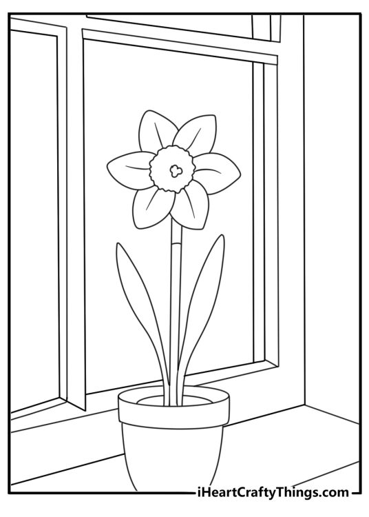 Potted daffodil on a sunny windowsill simple spring coloring page