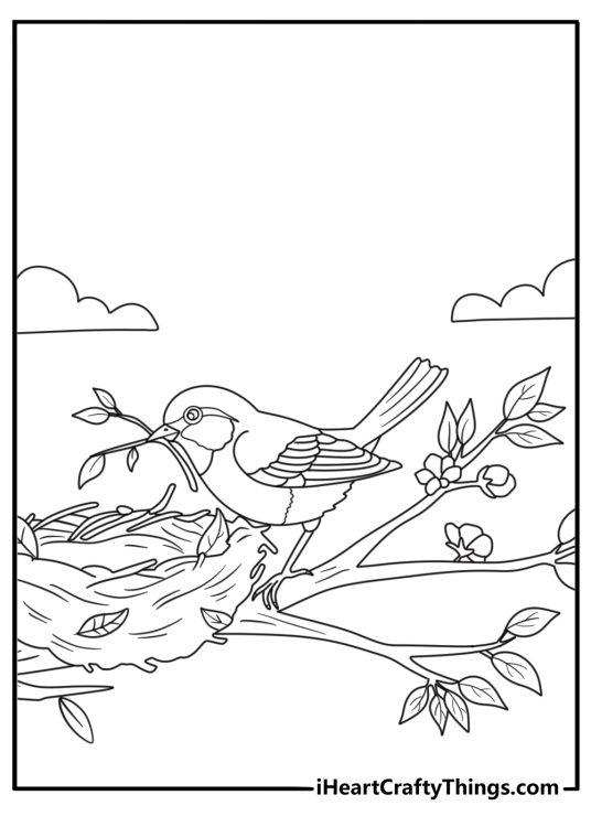 Robin building a nest with twigs spring coloring sheet for kids