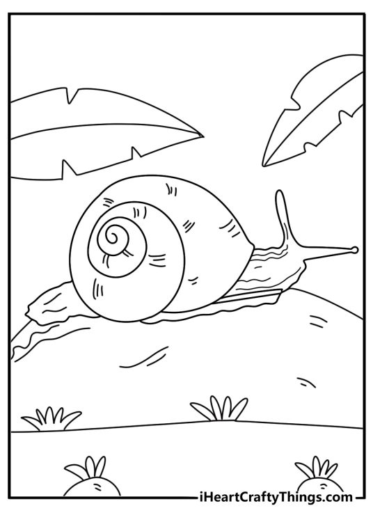 Snail moving across a smooth garden stone simple spring coloring printable