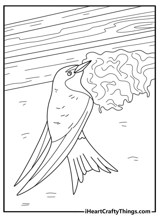 Swift swallow returning to a rooftop nest printable spring coloring page