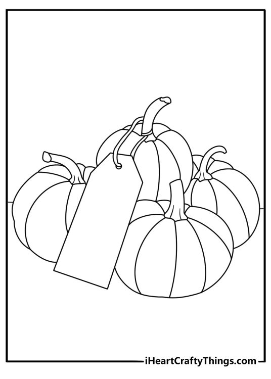 A farm stand displays pumpkins with handwritten price tags in this fall scene