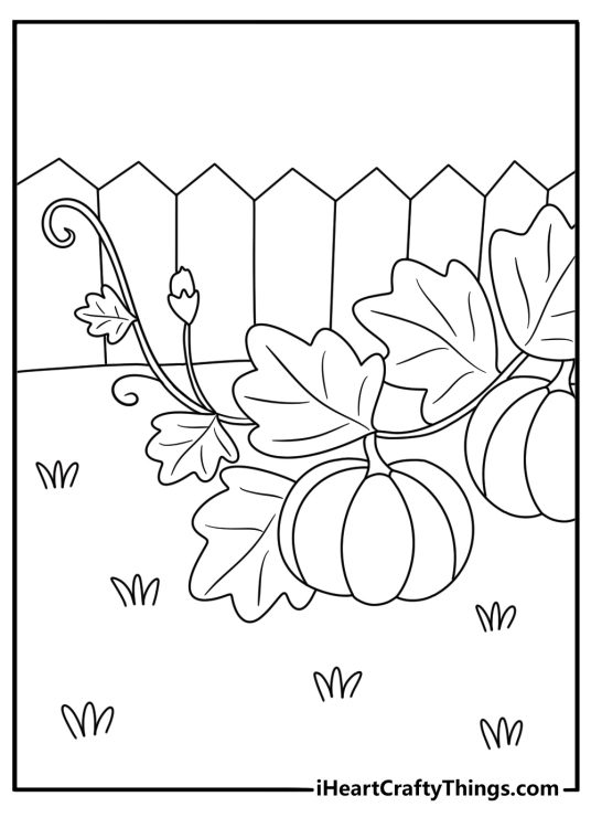 A pumpkin grows beneath wide green leaves in this detailed garden printable