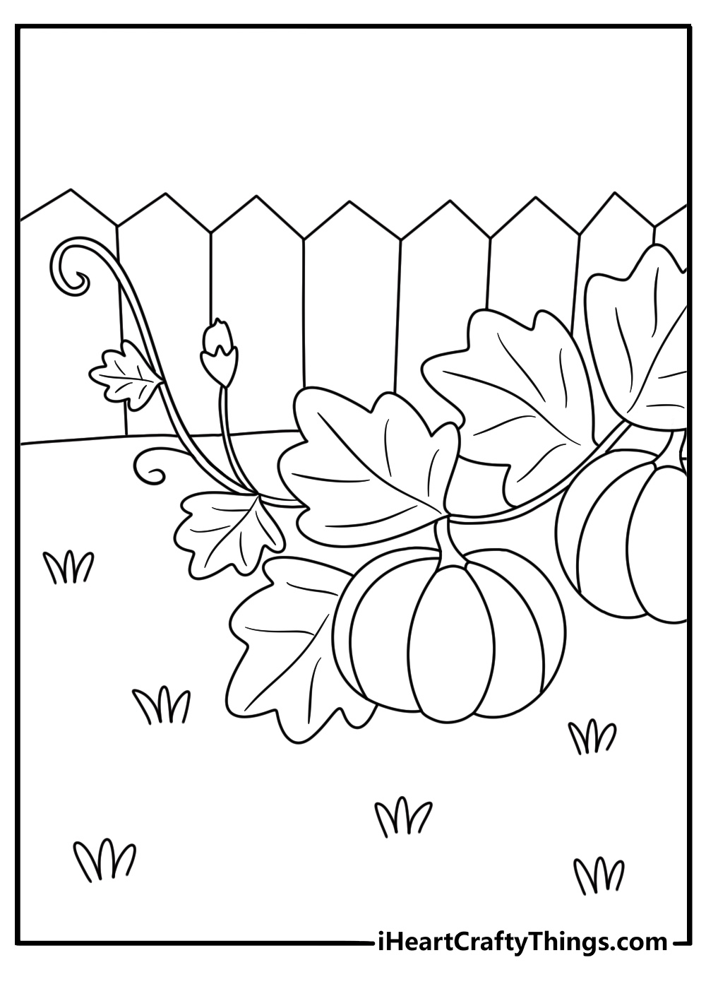 A pumpkin grows beneath wide green leaves in this detailed garden printable
