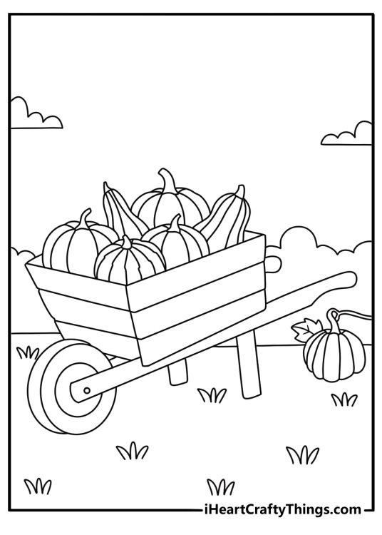 A wheelbarrow carries freshly harvested pumpkins across a garden path