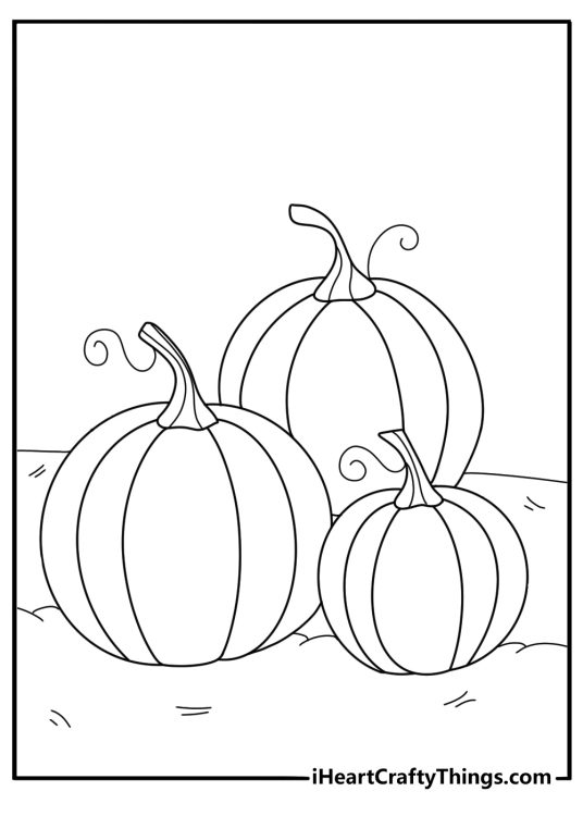 Coloring printable for pre schoolers presenting three pumpkins in different sizes