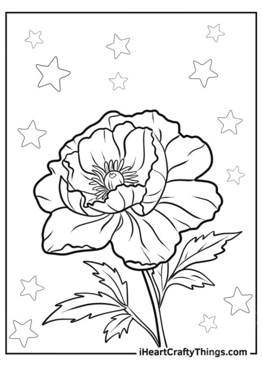 Flower Coloring Pages Of Peony With Leaves