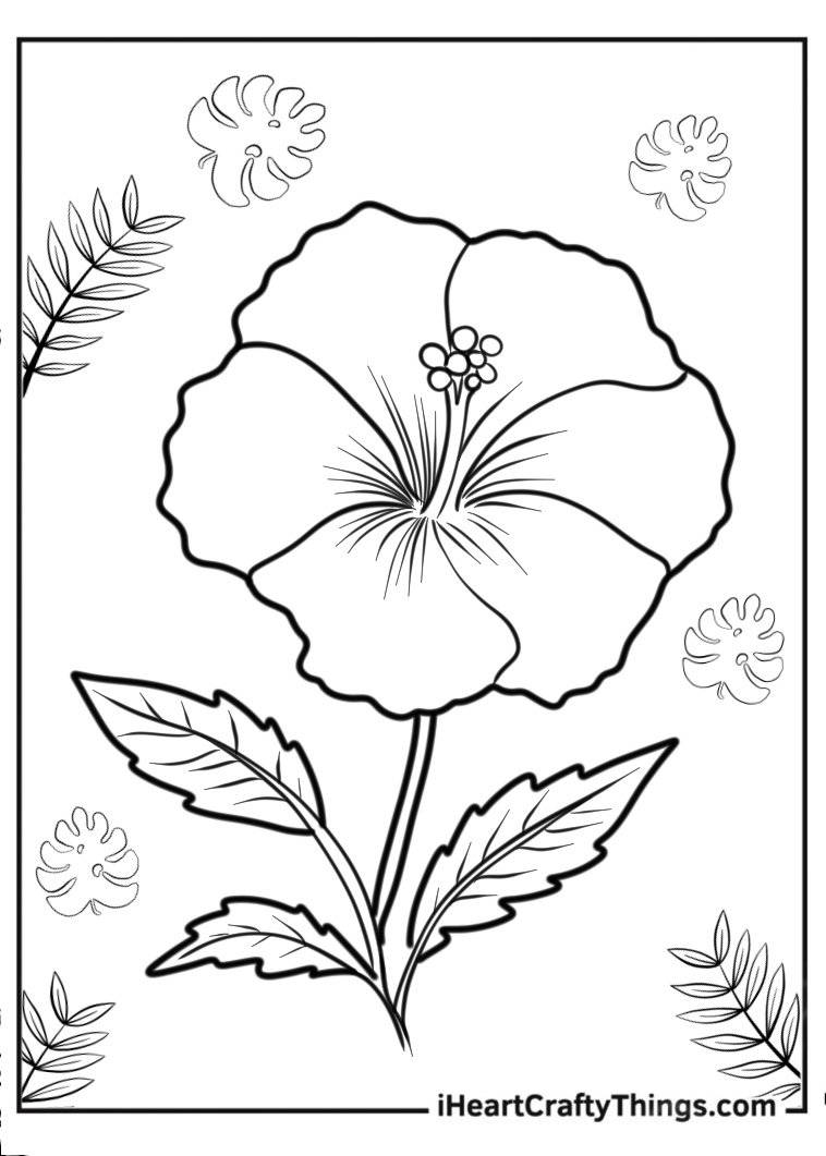 Free flower coloring printable for kids