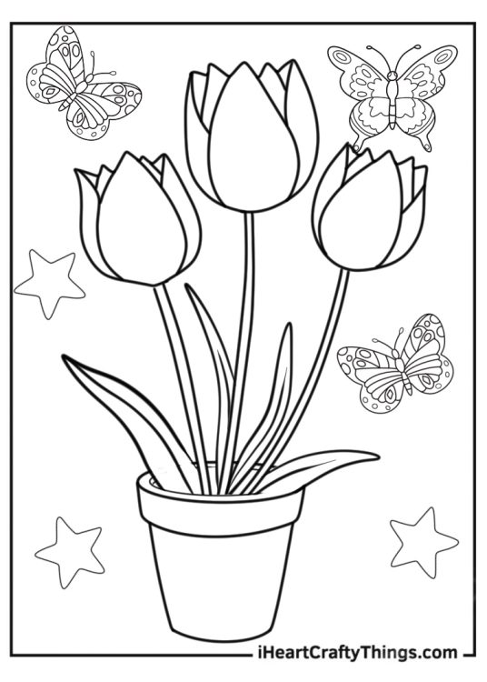 Flower Coloring Pages Of Three Tulips With Butterfly