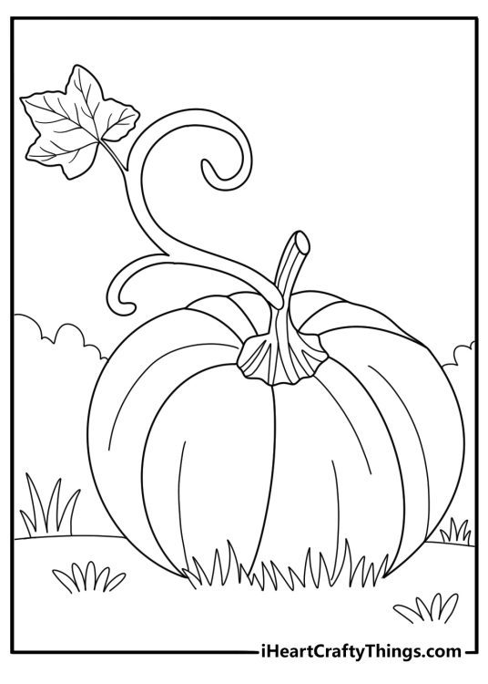 Free printable coloring picture presenting pumpkin surrounded by grass and leaves