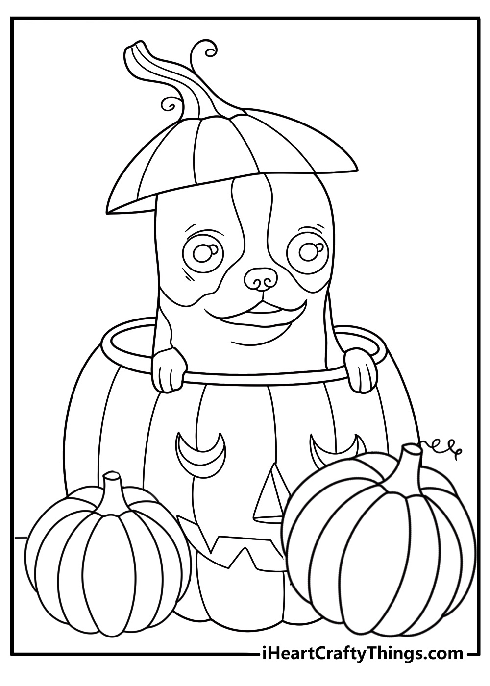 Picture for children featuring adorable puppy poking his head from behind three pumpkins