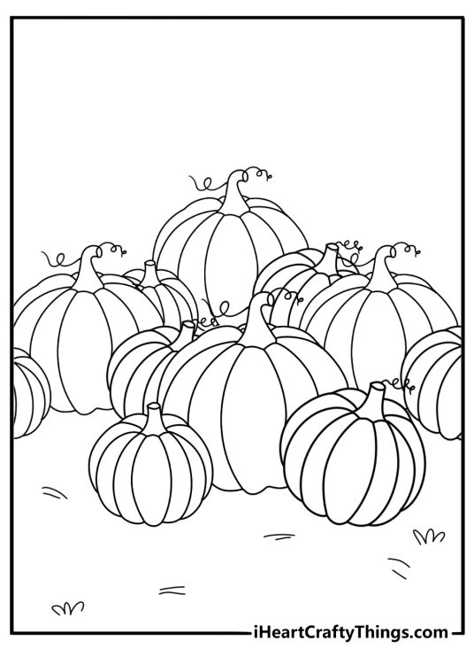 Pumpkin themed picture to print and color presenting lots of various size Fall pumpkins
