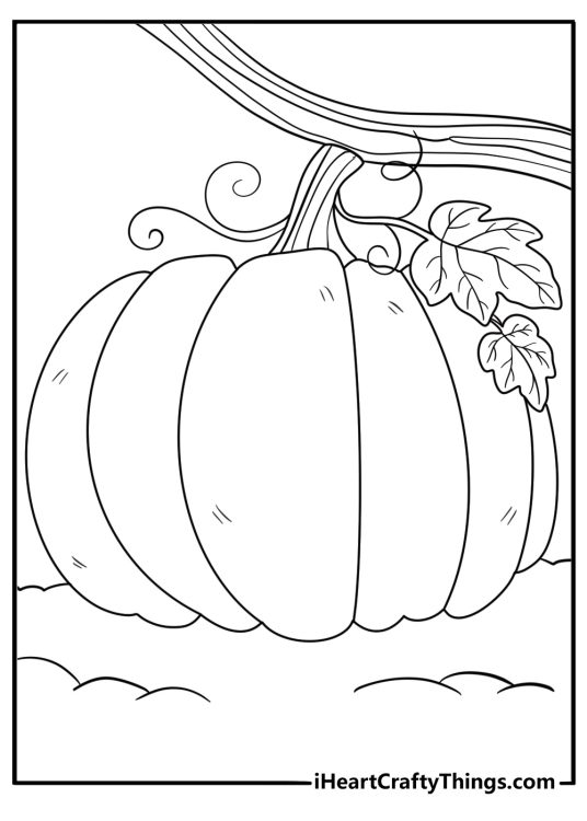 giant pumpkin growing on a vine detailed coloring page
