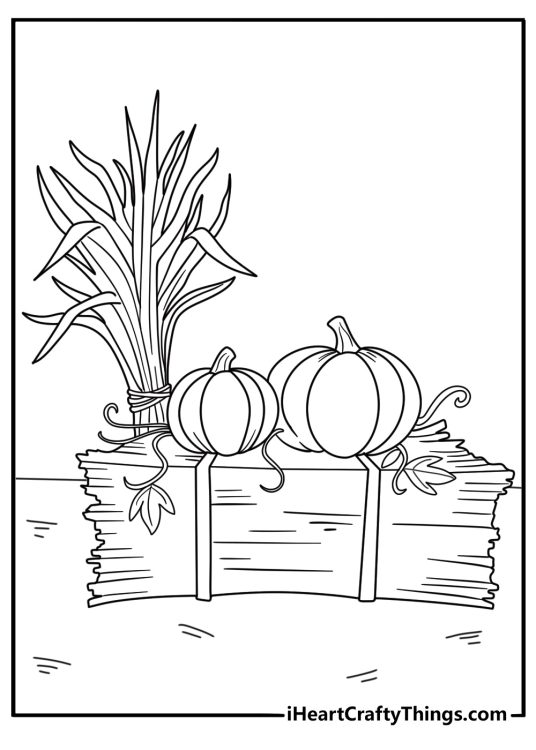 pumpkin sitting on a hay bale printable coloring sheet