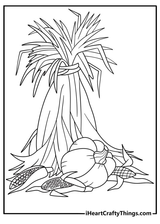 pumpkin surrounded by corn stalks simple coloring sheet