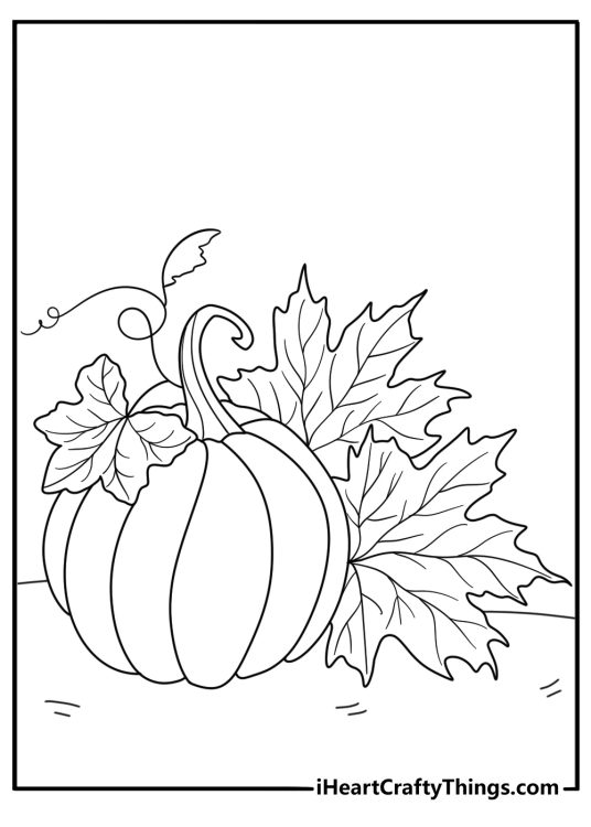 pumpkin surrounded by maple leaves easy coloring sheet