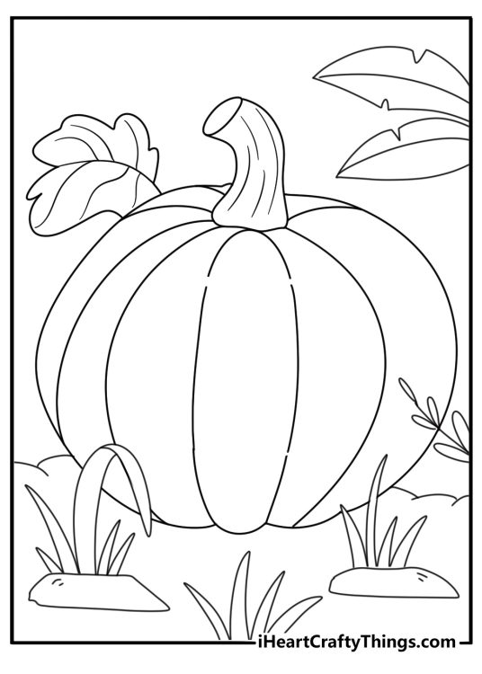 pumpkin surrounded by tall grass simple coloring sheet