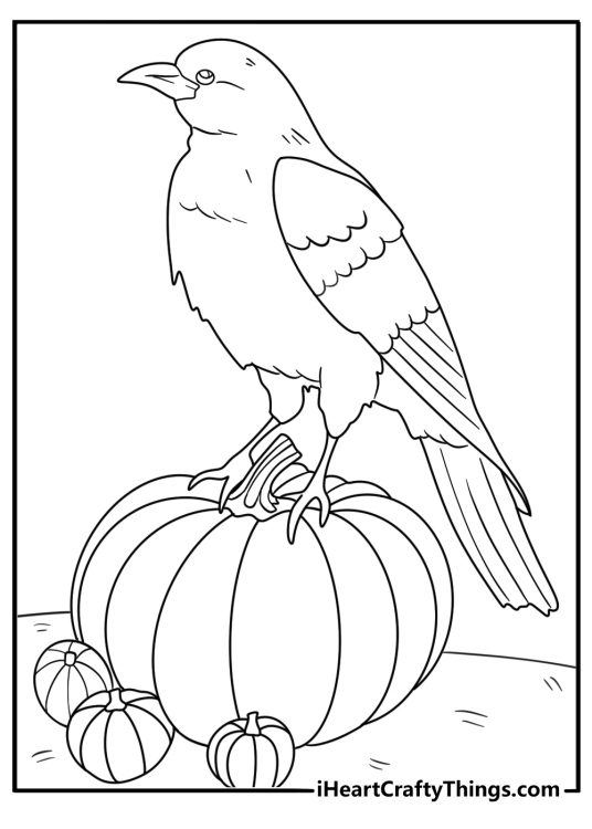 pumpkin with a crow perched on the stem detailed coloring page