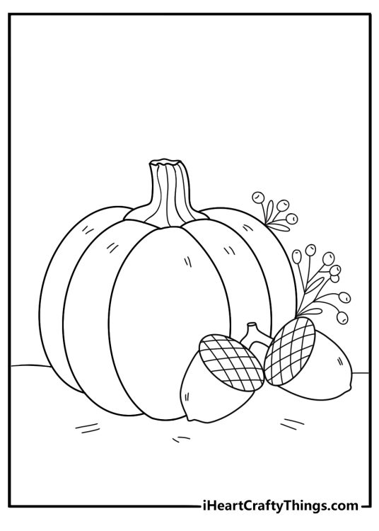 pumpkin with berries and acorns easy coloring sheet for kids