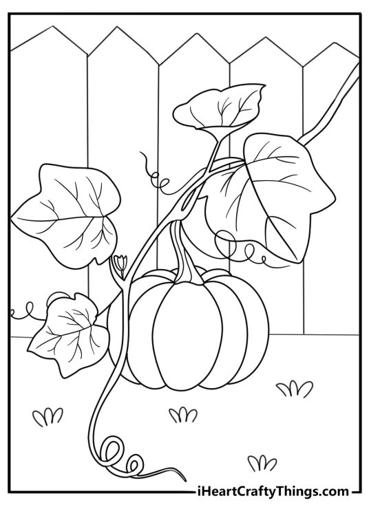 pumpkin with vines crawling up a fence printable coloring sheet