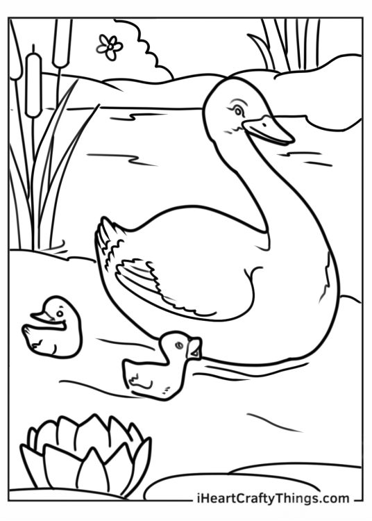 Summer Coloring Page Of Summer Duck Outline