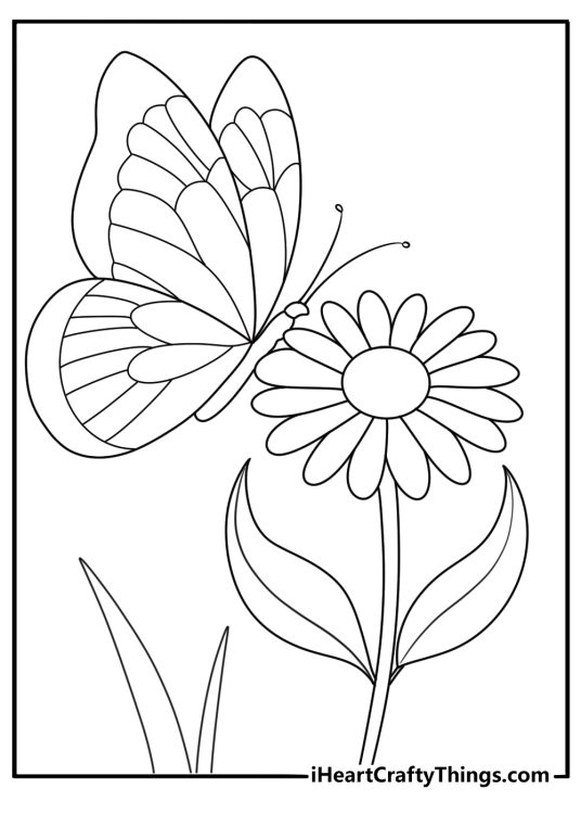 Butterfly and flower coloring page for kids free printable