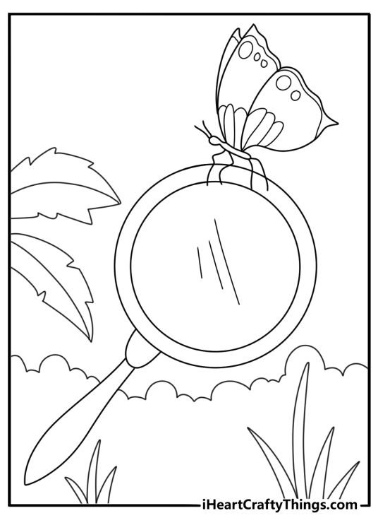Butterfly and magnifying glass nature study easy coloring sheet for kids