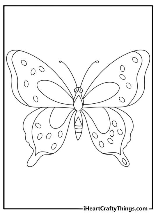 Butterfly coloring pages