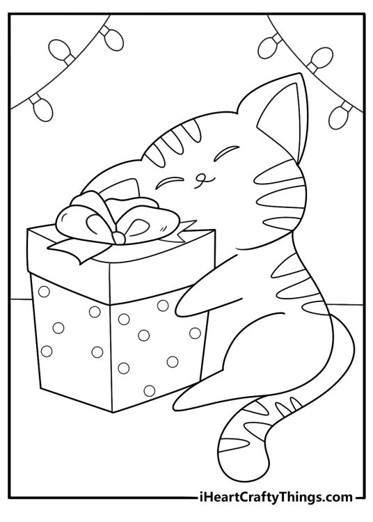 Cat Hugging Christmas Present