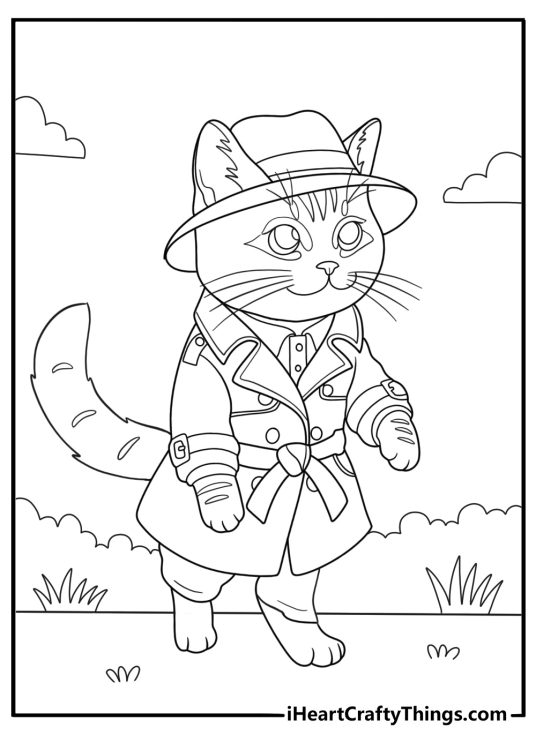 Cat With Clothes Standing Up
