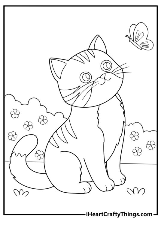 Coloring drawing presenting cute fluffy cut sitting and watching beautiful butterfly