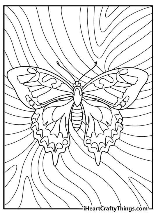 Coloring image for kids showing butterfly with intricate wings and swirls in the background