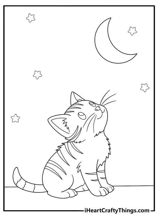 Coloring image presenting cute cat sitting and looking at the moon and stars in the night sky