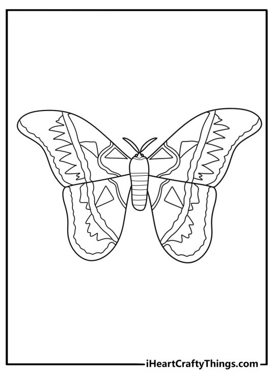 Coloring page for kids presenting interesting design butterfly reminding a bit of Aztec art