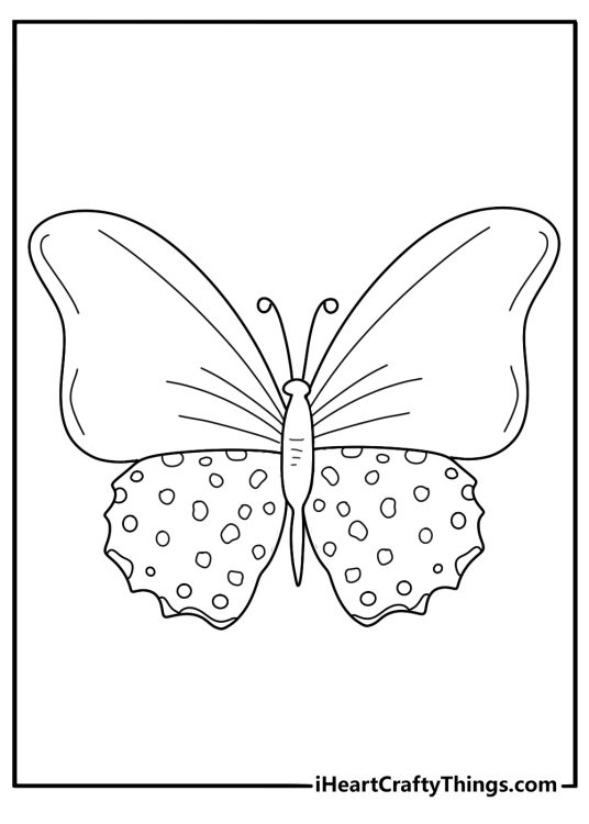 Coloring page of a butterfly with darker colored wings pattern with white spots at the bottom