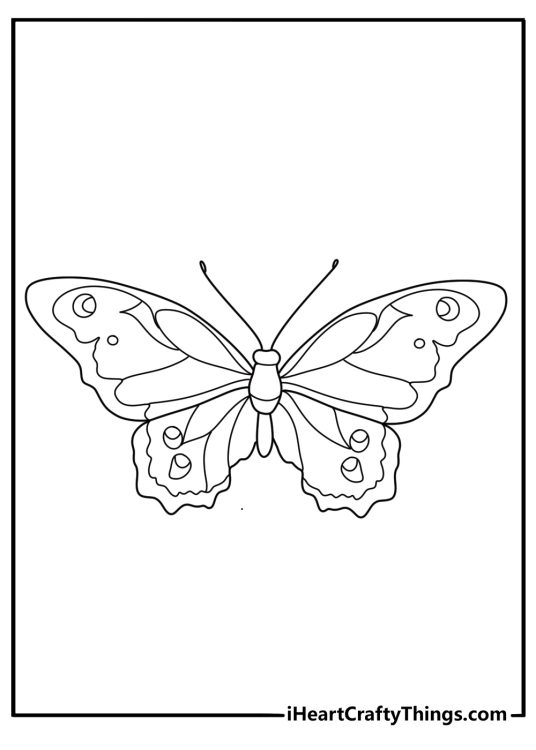 Coloring printable featuring butterfly with stripes and eye like markings on its wings